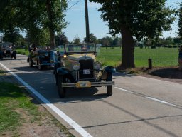 2019 - Parel der Voorkempen - Guy 